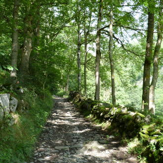 Chemin vers Compostelle Pyrénées Aure